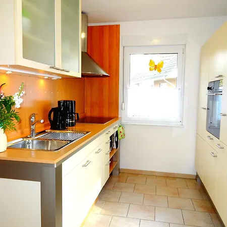 Birkenstrasse 6j זינקסט